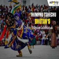 thimphu tshechu